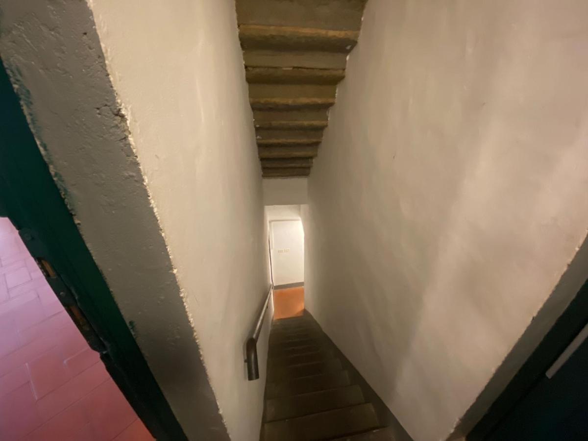 Alfani Double Florencia